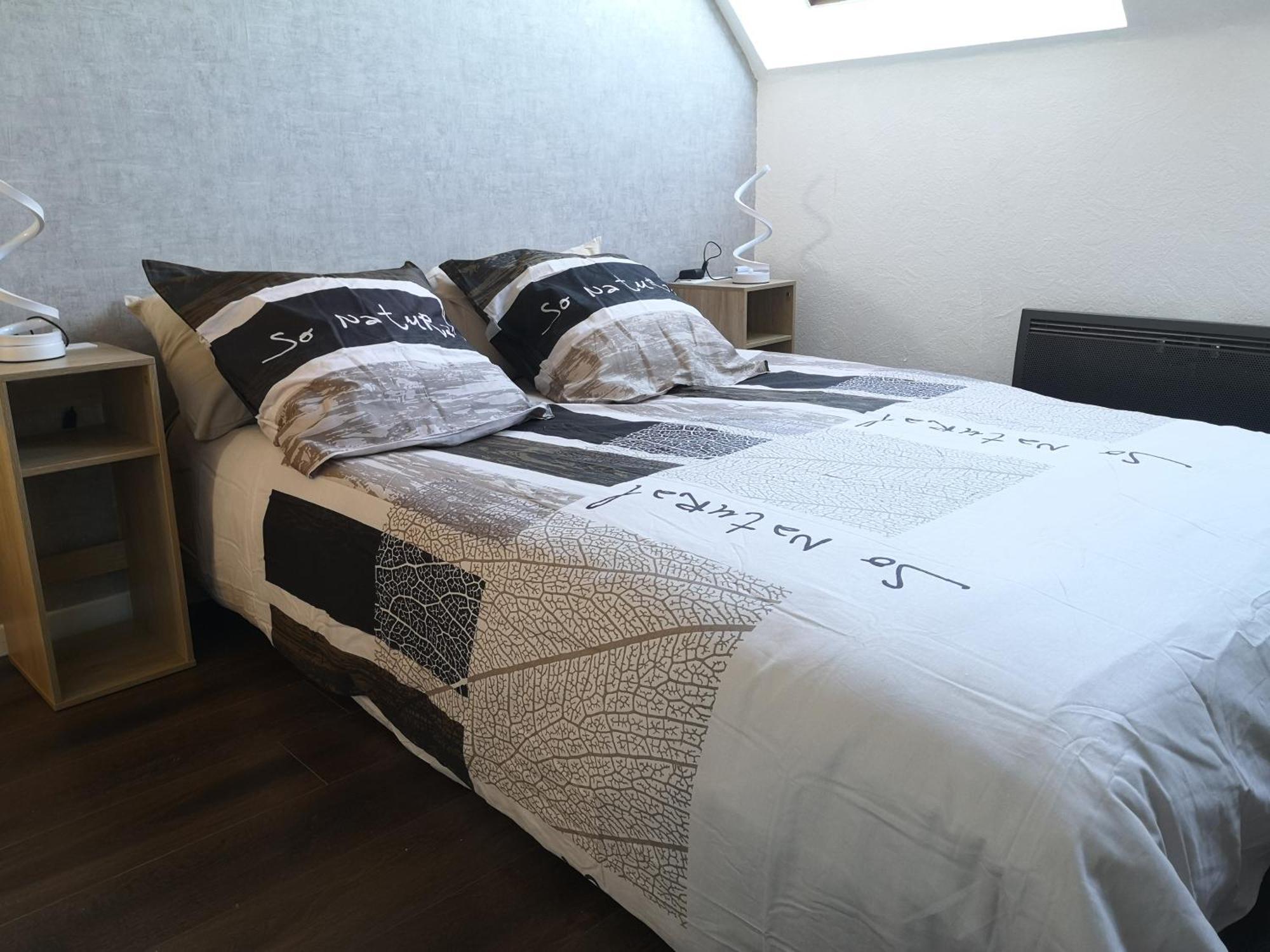 Superbe Cocon De 44M2 Apartment Longvic Bagian luar foto